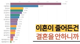 이혼 - 국제연애결혼 마이너 갤러리