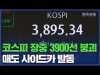 장중 3900선마저 붕괴한 코스피…7개월 만에 매도 사이드카 발동 | 한국경제 장중 3900선마저 붕괴한 코스피…7개월 만에 매도 사이드카... 