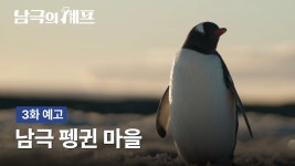 펭귄 다리 뒤집어서 들어올리는거 여긴 살아있다 - 백종원의 골목식당 갤러리