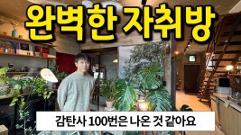 네이버 인플루언서 [네이버 인플루언서] 완벽한 자취방 l 감탄사 100번은 나온 것 같아요 l 제기동 전세