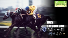 오늘 스타브로에 나온 하이페이스에 관한 간단한 보충설명 - 우마무스메 프리티 더비 마이너 갤러리