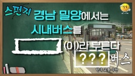 밀양버스 관련 질문 - 정류장 마이너 갤러리