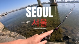 한강 손맛터였노 ㅡㅡ 안나온다더니 - 루어낚시 마이너 갤러리