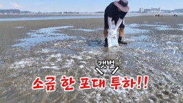 네이버 인플루언서 [네이버 인플루언서] 소금 한포대를 갯벌에 뿌리면 맛조개 미친듯 나올까? 직접 뿌려봤습니다! /진산리어촌계갯벌체험장