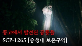 SCP-1265 킹룡 - 민주당 마이너 갤러리