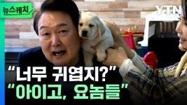 얘들아 힐링영상 보고 자 - 국민의힘 마이너 갤러리