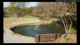115 최진국 - 일편단심 민들레야 (조용필 노래) | Doovi 115 최진국 - 일편단심 민들레야 (조용필 노래)
