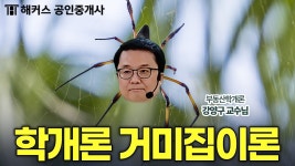 네이버 인플루언서 [네이버 인플루언서] 공인중개사 부동산학개론 꼭 알아야 하는 거미집이론 완벽 정리📍│해커스 공인중개사 강양구