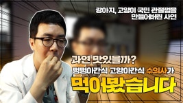 네이버 인플루언서 [네이버 인플루언서] 24시청담우리동물병원의 강아지영양제