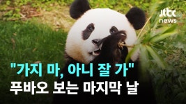 뜬금없지만 - 픽 엔믹스 마이너 갤러리