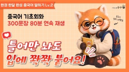 네이버 인플루언서 [네이버 인플루언서] 듣기만 해도 외워지는 중국어 기초회화 300문장  80분 연속 재생 💯#중국어 #중국어회화