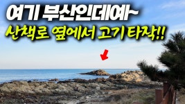 네이버 인플루언서 [네이버 인플루언서] 부산이 이렇게 낚시가 잘 되다니..!! 잡은 고기로 집들이 다녀왔어요 ㅋ (박선비tv)