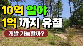 네이버 인플루언서 [네이버 인플루언서] 용인 임야 10억에서 1억까지 유찰 (개발 가능할까?)