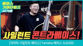 기탐애서 이런 기어도 리뷰하네 - 일렉트릭기타 마이너 갤러리