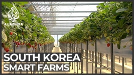 #koreaagriculture - YouTube