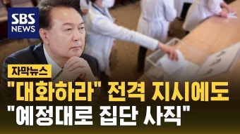 의대 사직 선언 - 국민의힘 마이너 갤러리