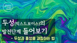 믹스보이스 강좌 top1 공개해줌 - 노래연습 마이너 갤러리