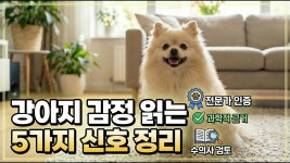 네이버 인플루언서 [네이버 인플루언서] 강아지 꼬리 흔든다고 다 좋은 게 아닙니다