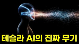 전자강시 혜음 퓌캬륀 강제로 봐라 - 판타지 갤러리