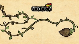 Dream - Seedheads | Shazam Dream - Seedheads