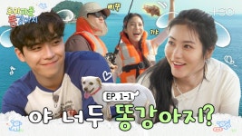 조합 좋당 - 빌보드 마이너 갤러리