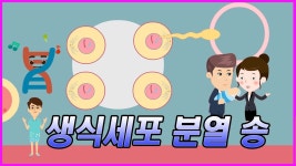 나만 이 노래 어디서 들어본 것 같냐 - 패러독스 인터랙티브 마이너 갤러리