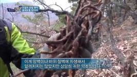 전설의 관절 명약 골쇄보 [코리아헌터52회] | Doovi 전설의 관절 명약 골쇄보 [코리아헌터52회]