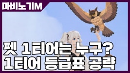 네이버 인플루언서 [네이버 인플루언서] 마비노기 모바일 펫 1티어는 누구? 1티어 등급표 공략 [사키엘TV]