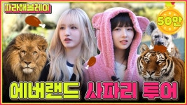 아이브 레이&리즈의 사파리 후기 | 따라해볼레이 EP.14 - 프로듀스 아이돌 마이너 갤러리