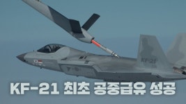삽입리스크 - 더불어민주당 마이너 갤러리
