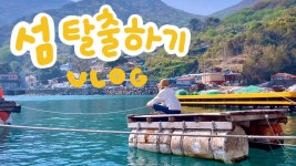 네이버 인플루언서 [네이버 인플루언서] 🏝️배 끊긴 섬에서 살아남기 Vlog | 통영 두미도
