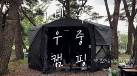 #오천솔밭 - YouTube