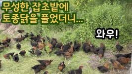 귀엽군,,, - 사운드 볼텍스 갤러리