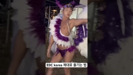 네이버 인플루언서 [네이버 인플루언서] EDC korea 제대로 즐기는 법 #이디씨
