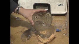 꼰대들이 요즘 애들이 특히 인성 나쁘다고 하는거 어이없음ㅋ - 금쪽같은 내 새끼 마이너 갤러리