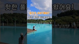 네이버 인플루언서 [네이버 인플루언서] 국내 핫한 풀파티에선 어떤 일이?! #엘리스테이 #보령숙소 #풀파티