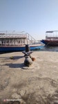 Robin Rawat - YouTube