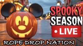 🔴 Live At Disneyland For Night Time Fun | Parades | Fireworks 09-13-2025 - YouTube 🔴 Live At Disneyland For Night Time Fun... 