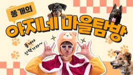 똥개의 아지네마을 탐방[유기견보호소] - YouTube 똥개의 아지네마을 탐방[유기견보호소]