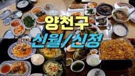 네이버 인플루언서 [네이버 인플루언서] 서울 양천구 신월동, 신정동 맛집 Best 11