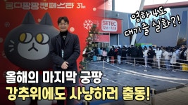 네이버 인플루언서 [네이버 인플루언서] 2024 궁디팡팡 캣페스타. 좋은 고양이 간식과 용품들을 추천 합니다. (feat. 크집사)