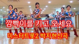이거봤냐 깜빡이를 키고오세요 라인댄스 - 미스터트롯2 마이너 갤러리