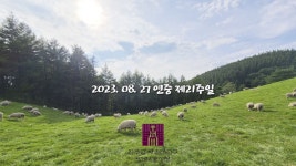 방배4동 성당 2023년 8월 27일 연중 제21주일 이동익 레미지오... YouTube 방배4동 성당 2023년 8월 27일 연중 제21주일 이동익 레미지오... 