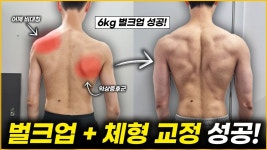 네이버 인플루언서 [네이버 인플루언서] [메루치성공사례] 벌크업&교정 루틴 식단 공개!