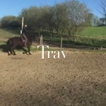 Annie6754 - YouTube Annie6754