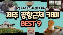 네이버 인플루언서 [네이버 인플루언서] 조끄띠의 제주공항근처카페