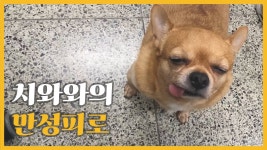 유튜브 채널 검색 - NoxInfluencer