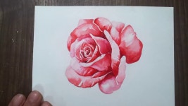 수채화 꽃그리기 장미 수채화채색 red  rose watercolor painting | Doovi 수채화 꽃그리기 장미 수채화채색 red  rose watercolor... 