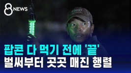 신선하네 - 프로미스나인 리얼리티 마이너 갤러리