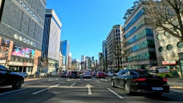 강남대로 도산대로 영동대로 테헤란로 - 도시 미관 마이너 갤러리